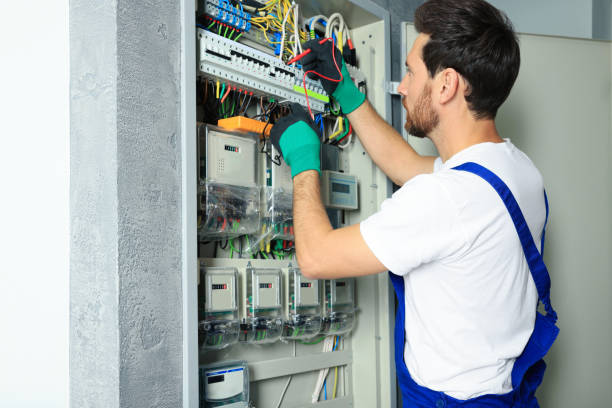 Best Electrical System Inspection  in Biggs, CA